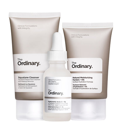 THE ORDINARY THE DAILY SET